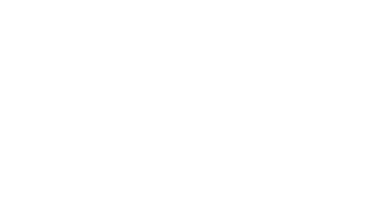 Four Owls Advisory